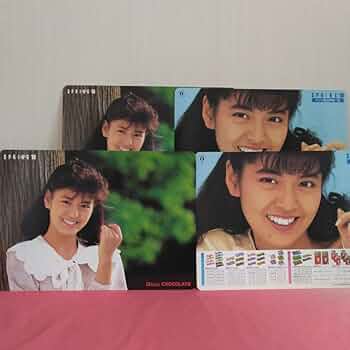 Amazon.co.jp: 当時品レトロ南野陽子さんの下敷き各2枚×2枚 合計